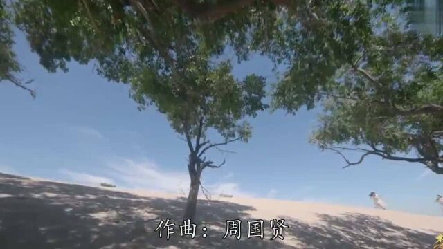 一首很好听的歌曲《赤城千叶》听到流泪,每天必听