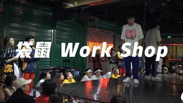 理论与实践并行 男神袋鼠work shop