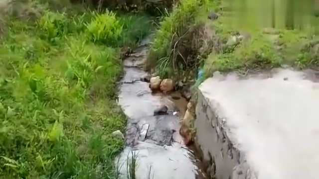 风水宝地:丁坤终是万斯箱,此地笔架山 架案 钱财万罐