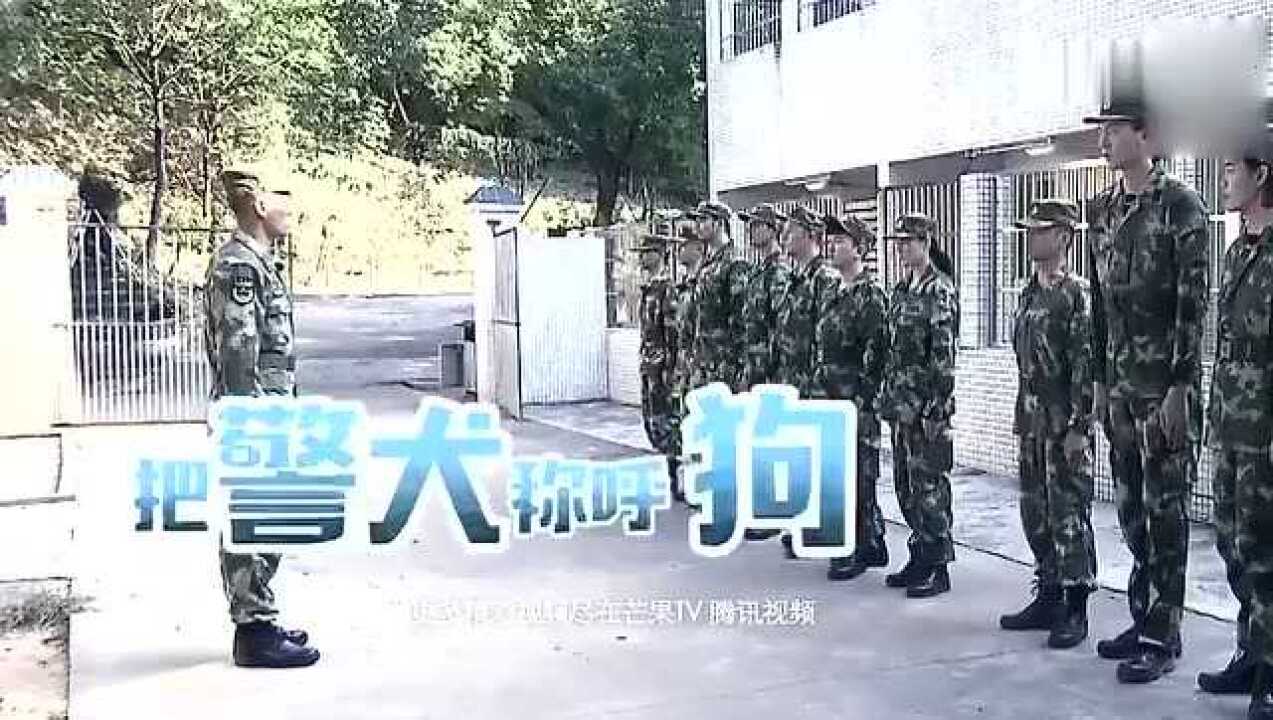 奇兵神犬教官严厉训斥警犬不能叫狗