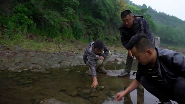 大毛老师亲自去抓一种叫石蚕的鱼饵,看上去真欢乐