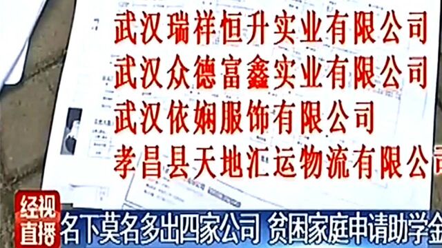 父亲名下莫名多出四家公司,贫困学子申请助学金遇阻,想注销还挺难