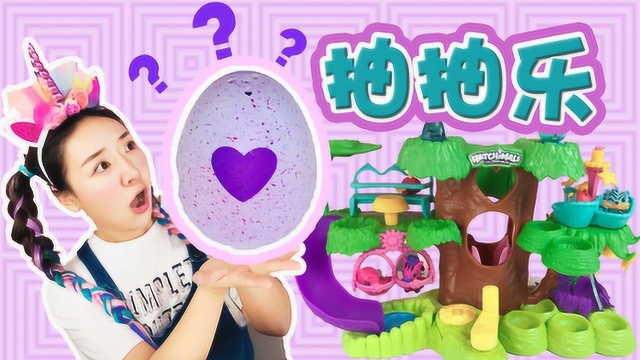 Hatchimals哈驰魔法蛋 开箱 看看晚安有没有找到限量版的小宝宝