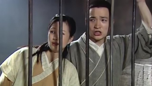 Thumbplayer Poster Plugin Image