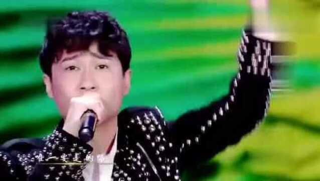 歌曲《平凡之路》 演唱:赵钶