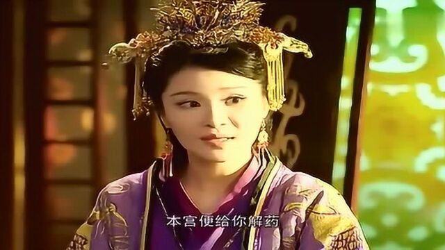 穿越冥王妃被当成刺客,冥王宠妻,公主出场,太美了,好惊艳啊