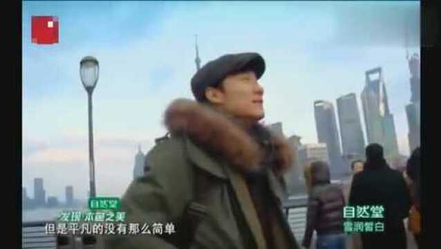 舞林争霸北漂多年自由舞者张傲月感动所有观众和导师