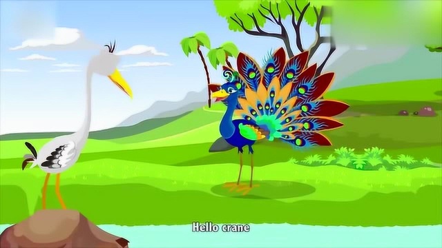 英语故事 孔雀和鹤 THE PEACOCK AND CRANE 少儿英语