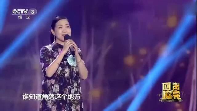 沈丹萍演唱《角落之歌》带你回味经典,旋律优美太动听了!