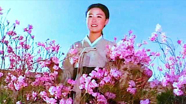 1972朝鲜经典老电影《卖花姑娘》原声主题曲《卖花姑娘》演唱:崔三淑