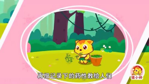 496?max_age=7776000