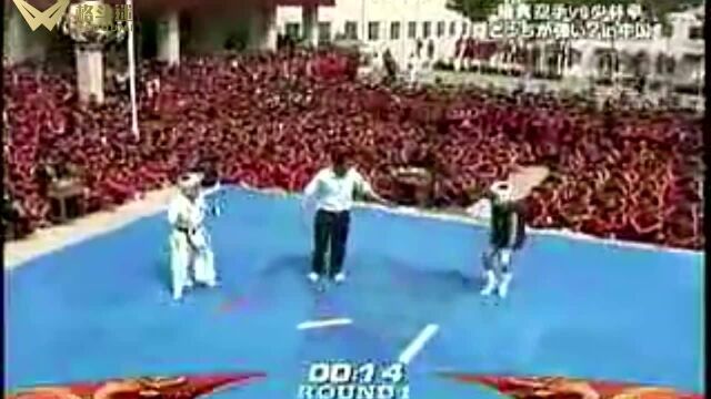 少林拳VS极真空手道,中日最强天才之战!