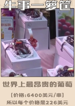世界上最昂贵的葡萄！
