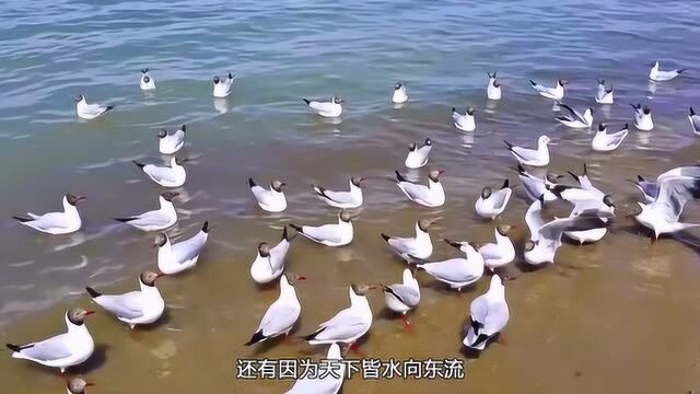 置身于仙境的青海湖