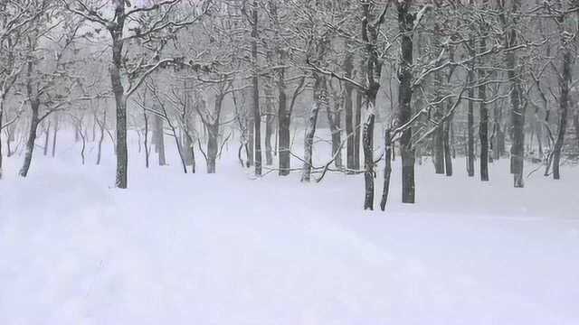 航拍中国:日本ⷮŠ北海道,美丽的雪景