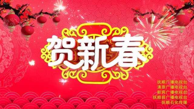 抚顺广播电视台综合频道记者来拜年!2019,“猪”贺新春