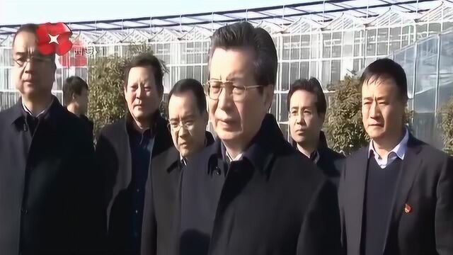 王永康在周至县检查党风廉政建设和“大棚房”问题整治时做出强调