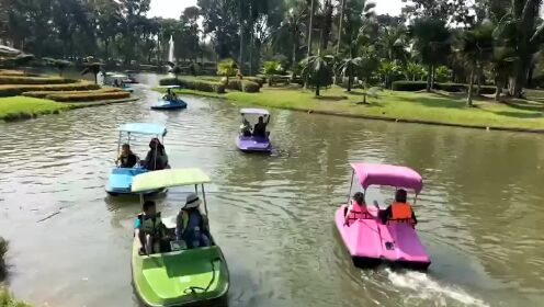 李道然2019清迈回顾