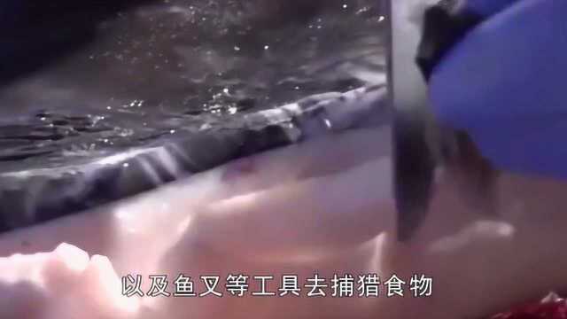 土著因纽特人独特的传统习俗:部落男人让自己妻子接待外来游客!