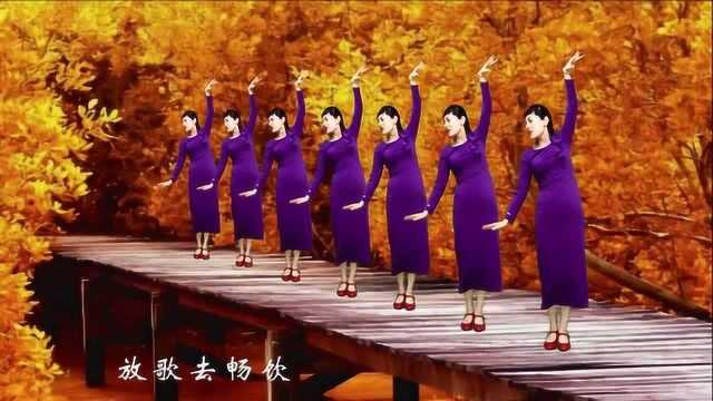 曾雨轩火爆歌曲广场舞《又老了一岁》一晃真老了,歌醉心醉教学版