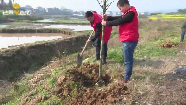 潭湾镇200名志愿者开展义务植树活动,为建设“五美乡村”添砖加瓦