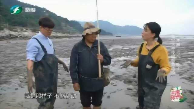 福建电视台主播来霞浦