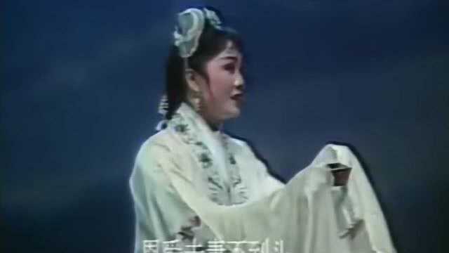 吕剧《血手印》胡丽萍、刘洪军演唱 催人泪下