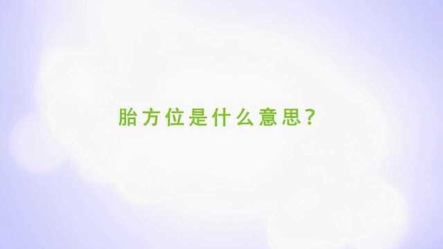 胎方位是什么意思?