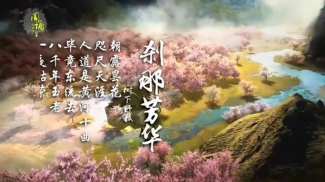 刹那芳华曲 不若神仙眷侣 百年江湖 树下野狐