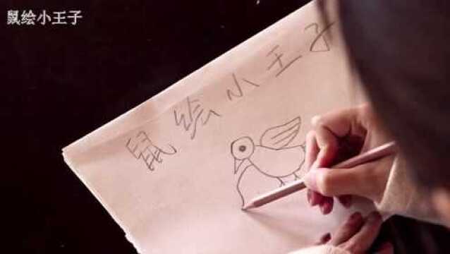 鼠绘小王子  幼儿简笔画 birdie教程