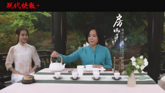 南农美女茶博士开讲“茶香思政课”,听完就想来一杯!