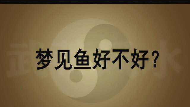 做梦梦见鱼好不好?梦到鱼对我们现实都有哪些暗示?