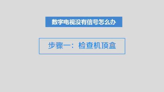 数字电视没有信号怎么办