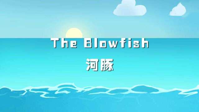 7. The Blowfish 河豚