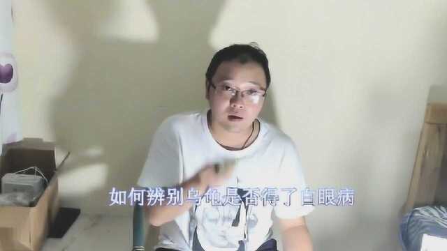 如何判断乌龟是否得了白眼病?养龟大师教你如何辨别治疗白眼病