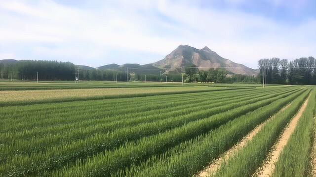 乡村田园风景,让我流连忘返