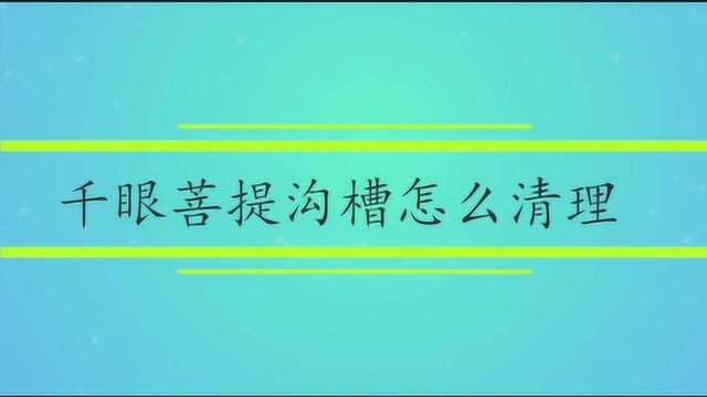 千眼菩提沟槽怎么清理