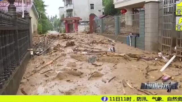 福建浦城县遇暴雨发生塌方,树木塌倒,村民发出连连尖叫