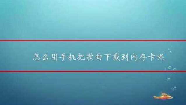 怎么用手机把歌曲下载到内存卡呢