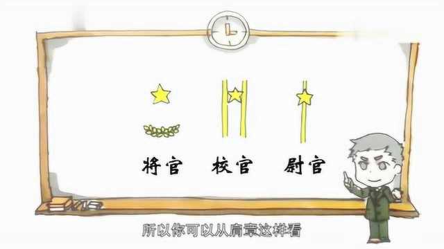 部队军衔等级怎么区分