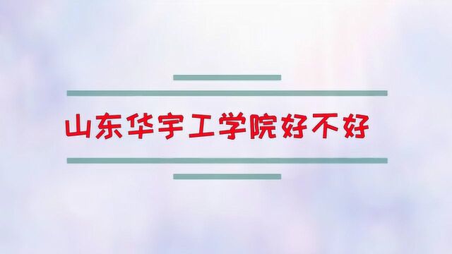 山东华宇工学院好不好