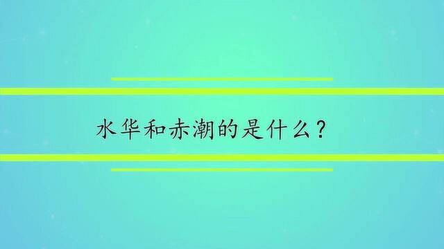 水华和赤潮的是什么?