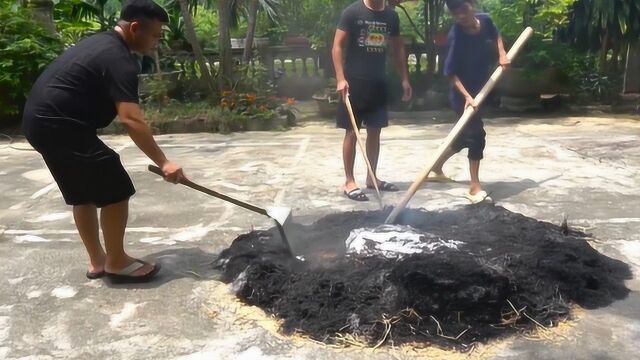 农村一家人用土法烤制30公斤超大隆头鱼,真是涨知识,太会吃了