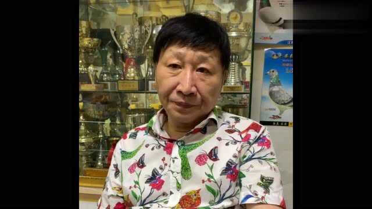 胡维奇老师讲述苍白系赛鸽眼前看完真是长知识
