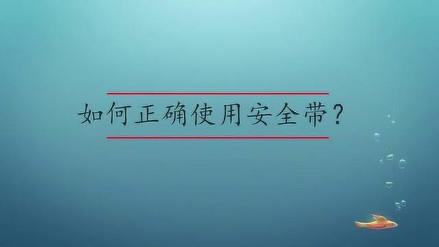 如何正确使用安全带?