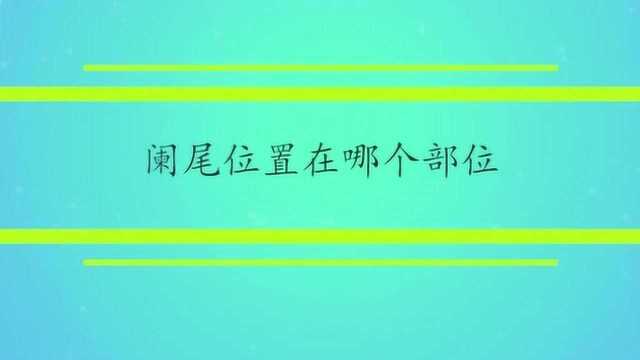 阑尾位置在哪个部位?