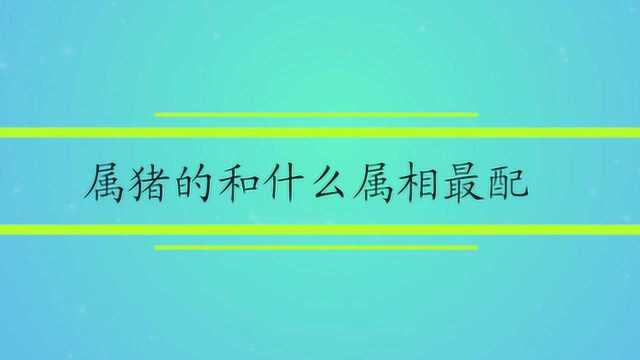 属猪的和什么属相最配