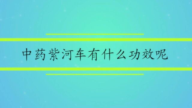 中药紫河车有什么功效呢