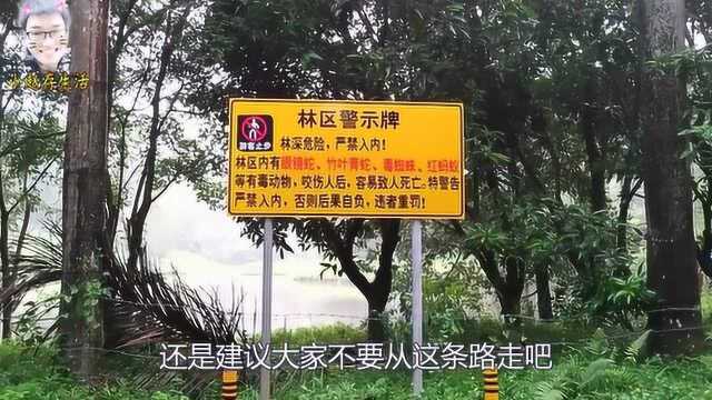 实拍深圳九龙山公园,在中途遇到了什么,让很多人“不敢”前行