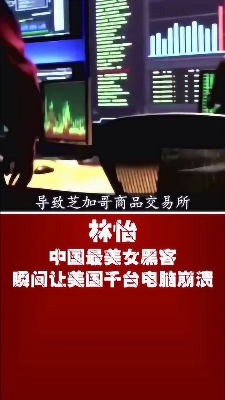 中国最美女黑客林怡瞬间让美国千台电脑崩溃太牛逼了